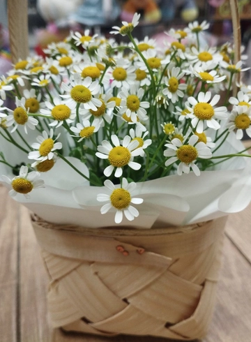 Композиция &laquo;Ромашковое настроение&raquo; от интернет-магазина цветов в 