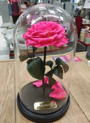 Стабилизированная  роза в колбе ( розовая) от интернет-магазина цветов в 