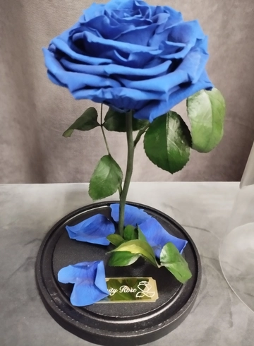 Стабилизированная роза &laquo;Синяя&raquo; от интернет-магазина цветов в 